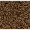 Forbo Coral Forbo Coral Brush 5716 Masala Brown 55x90